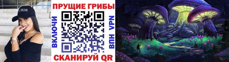 Галлюциногенные грибы Psilocybe  Пучеж 